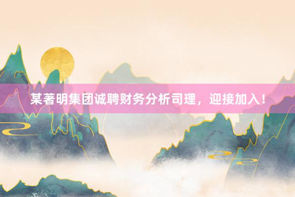 某著明集团诚聘财务分析司理，迎接加入！