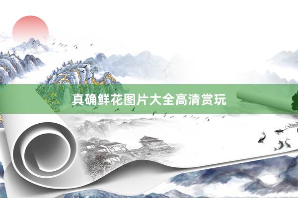 真确鲜花图片大全高清赏玩