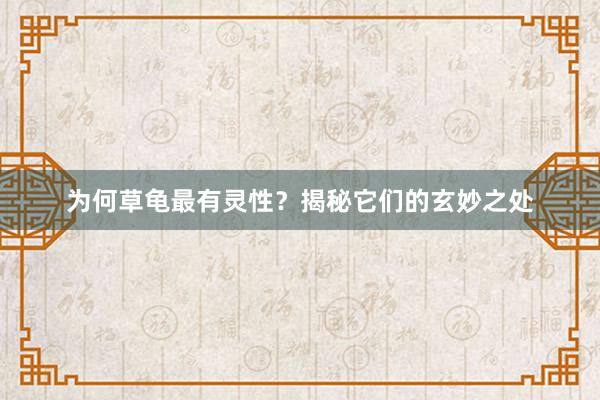 为何草龟最有灵性？揭秘它们的玄妙之处