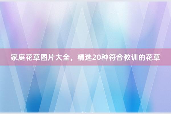 家庭花草图片大全，精选20种符合教训的花草